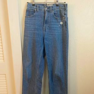 Everlane Way High Jean, Medium Wash. 26T.